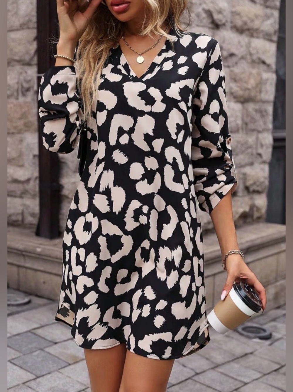 Leopard Print V-Neck Mini Dress - Black & Cream